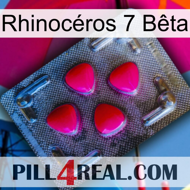 Rhinocéros 7 Bêta 13